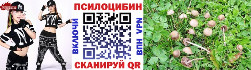 Псилоцибиновые грибы Magic Shrooms  гидра ССЫЛКА  Суздаль 